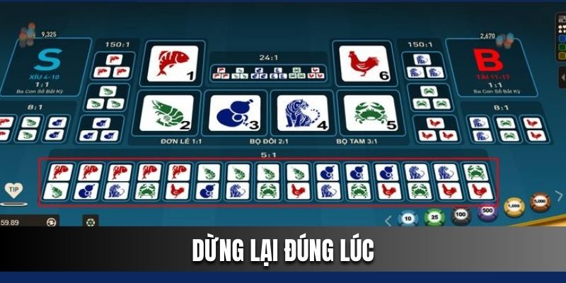 Cách chơi bầu cua cho hội viên mới