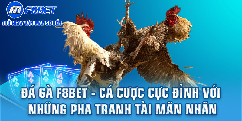 Đá gà F8BET - Cá cược cực đỉnh với những pha tranh tài mãn nhãn