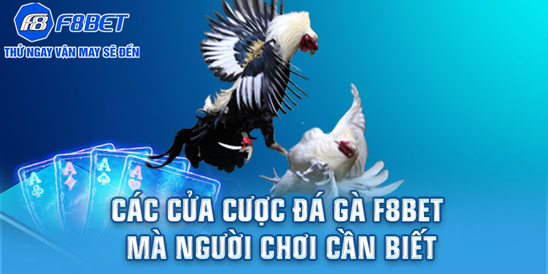 Các cửa cược đá gà F8BET mà người chơi cần biết