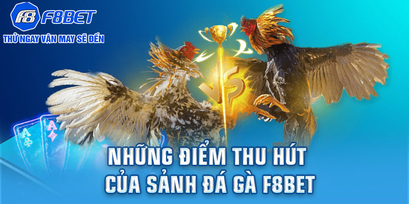 Những điểm thu hút của sảnh đá gà F8BET