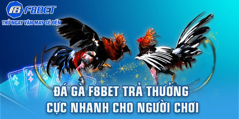 Đá gà F8BET trả thưởng cực nhanh cho người chơi