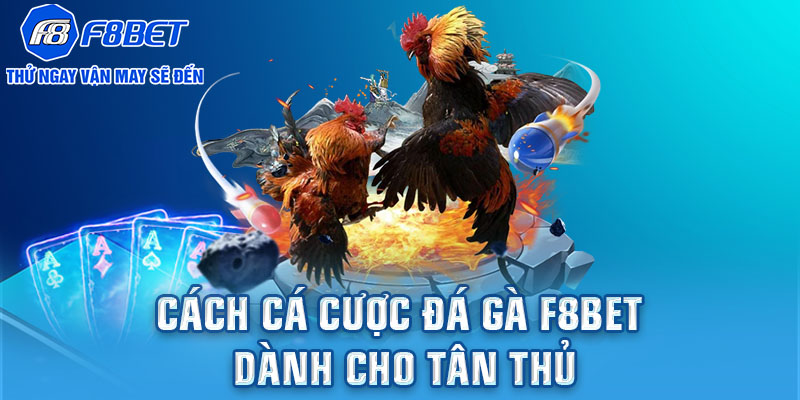 Cách cá cược đá gà F8BET dành cho tân thủ